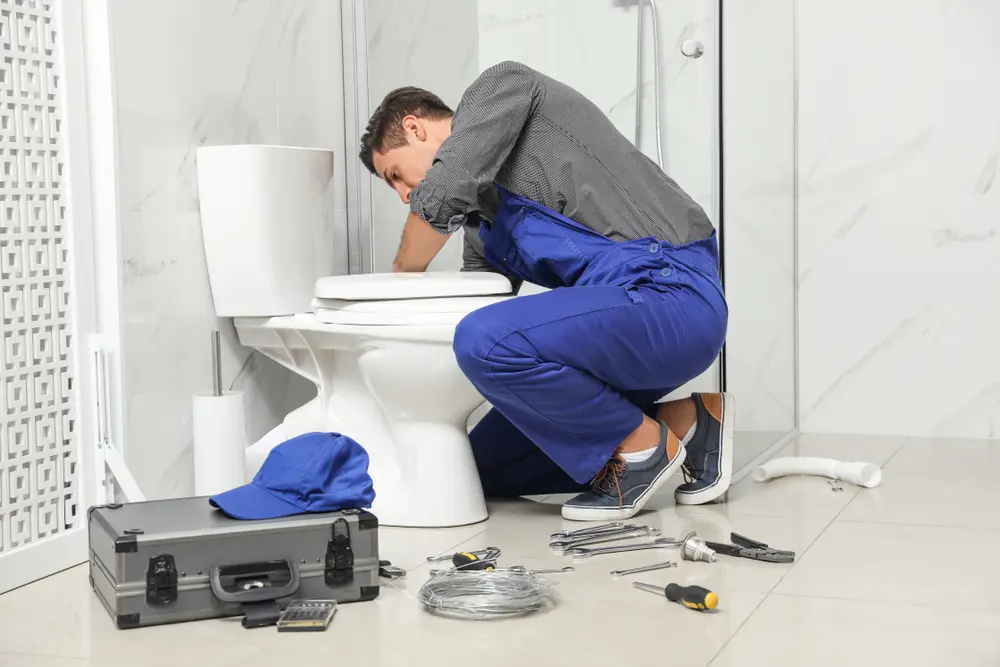 Toilet Repair in Johannesburg